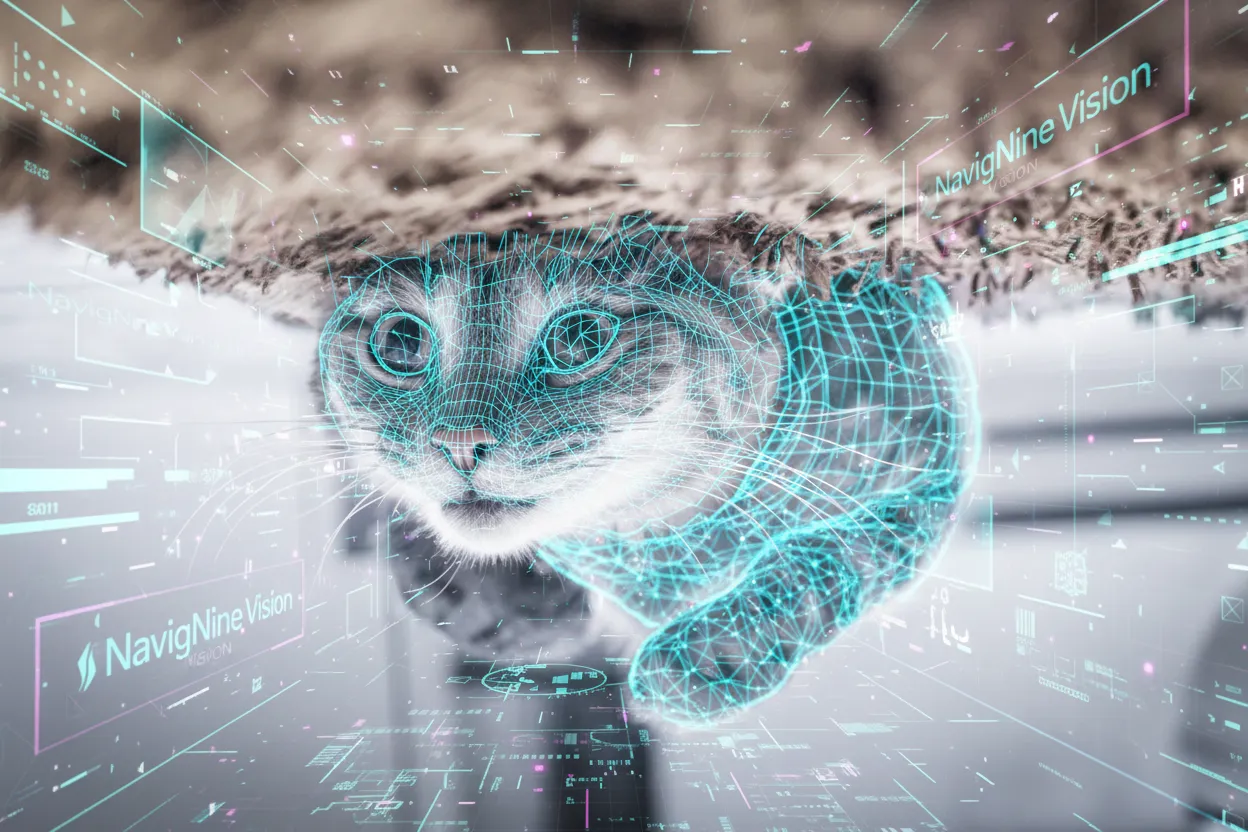 Cat analysis (N9 Vision image)